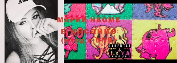шишки Вязники